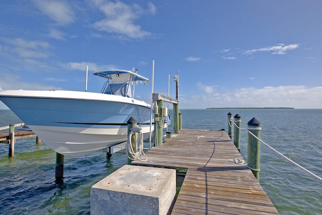 dock area with a water view