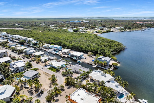 birds eye view of property featuring a water view and a forest view