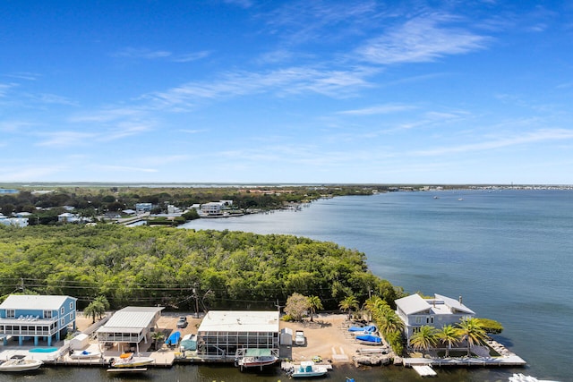 birds eye view of property featuring a water view and a forest view