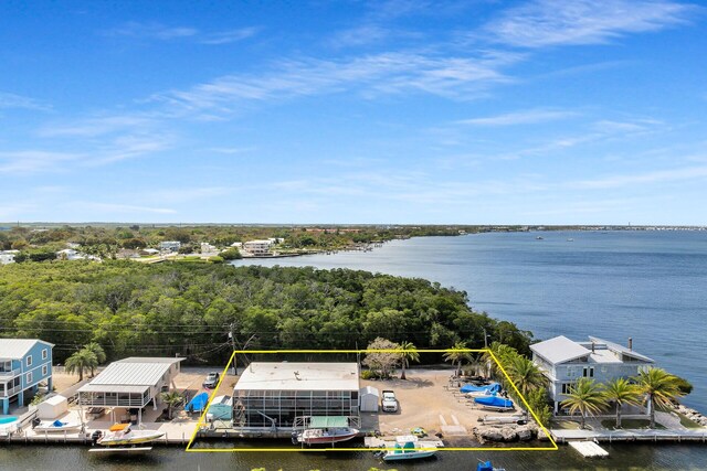 aerial view featuring a water view and a view of trees