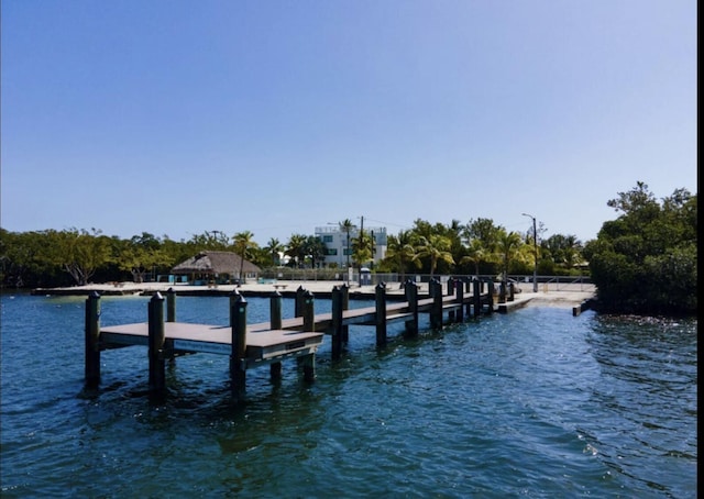 dock area with a water view