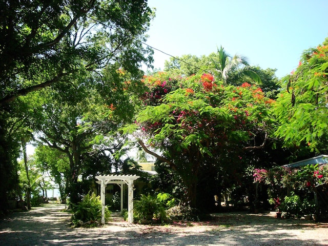 view of yard featuring a pergola