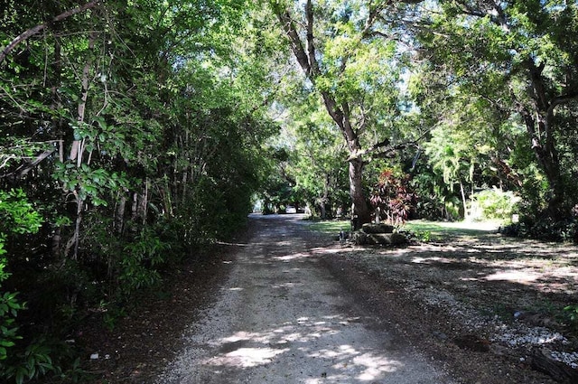 view of dirt / gravel road