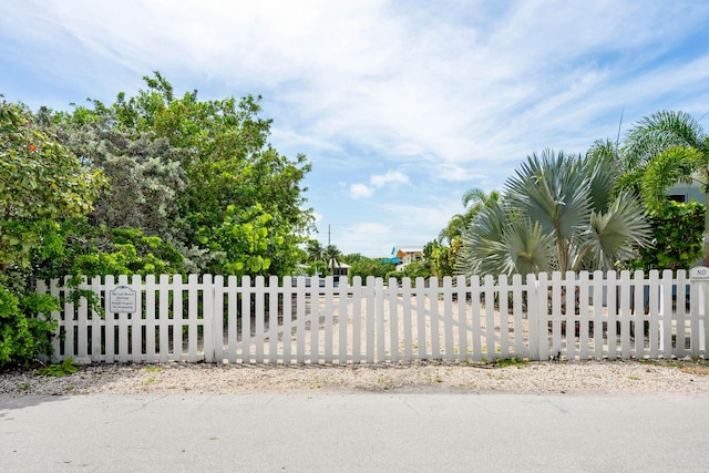 view of gate