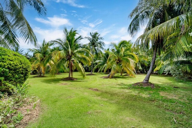 view of yard