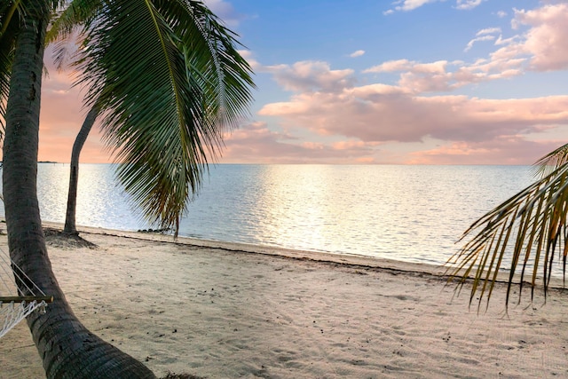 property view of water with a beach view