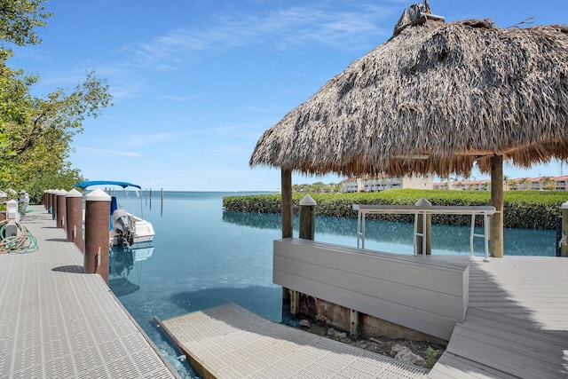 dock area with a water view