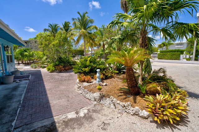 140 Gardenia St, Tavernier, FL 33070 - view of patio