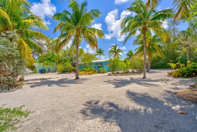 140 Gardenia St, Tavernier, FL 33070 - view of yard