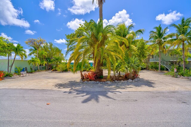 140 Gardenia St, Tavernier, FL 33070 - view of yard