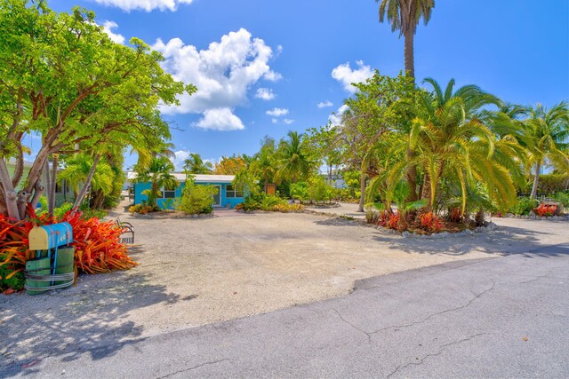 140 Gardenia St, Tavernier, FL 33070 - view of yard