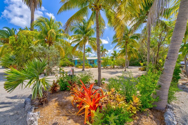 140 Gardenia St, Tavernier, FL 33070 - view of yard