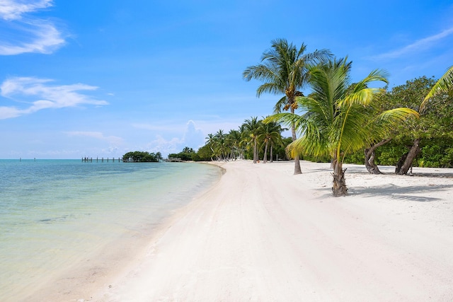 water view with a beach view