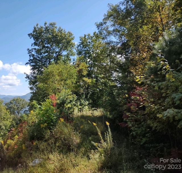 0 E Wabash Dr, Sylva NC, 28779 land for sale