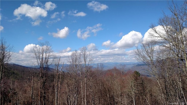 0 Wild Turkey Drive Lot 14,Sec 4, Whittier NC, 28789 land for sale