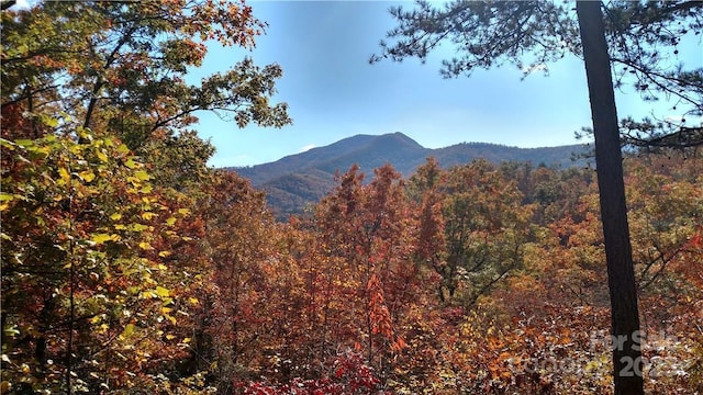 Listing photo 2 for LOT41 S Country Club Dr Unit 41, Cullowhee NC 28723