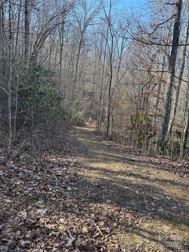 LOT41 S Country Club Dr Unit 41, Cullowhee NC, 28723 land for sale