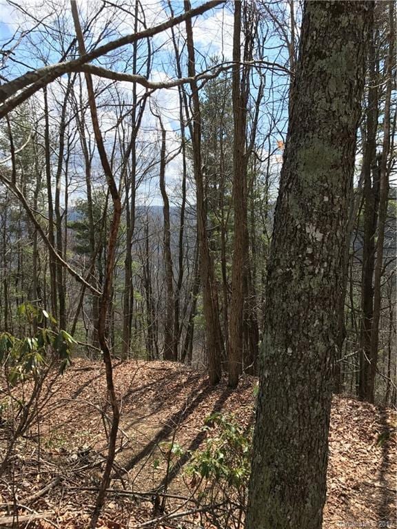 Listing photo 3 for LOT1SEC10 Julalbo Rd Lot 1, Whittier NC 28789