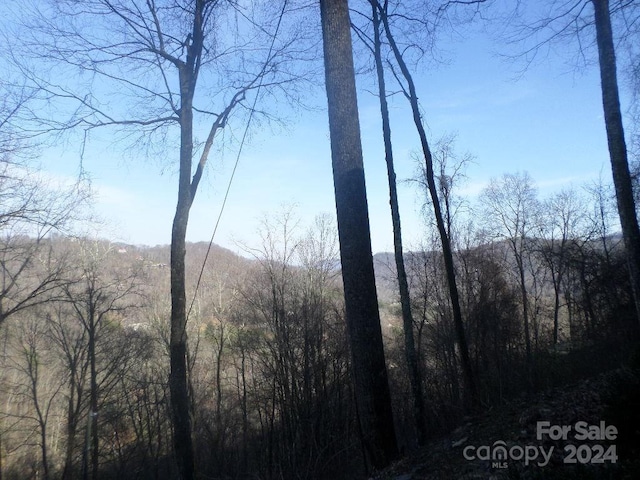 Listing photo 3 for 62 Turkey Hollow Dr Unit 62, Waynesville NC 28785