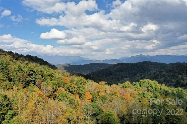 VL25 Mountain Forest Rd, Sylva NC, 28779 land for sale