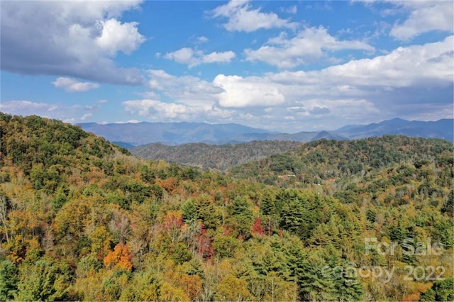 Listing photo 3 for VL25 Mountain Forest Rd, Sylva NC 28779