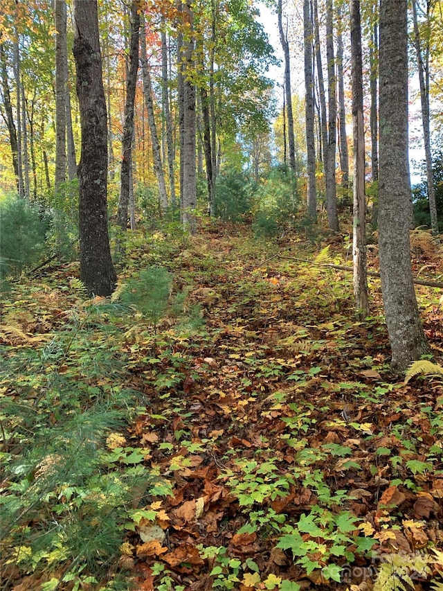 Listing photo 3 for LOT556 Timber Rock Dr Unit 556, Lenoir NC 28645