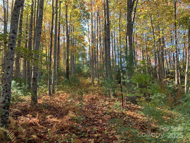 LOT556 Timber Rock Dr Unit 556, Lenoir, NC 28645 - photo 1