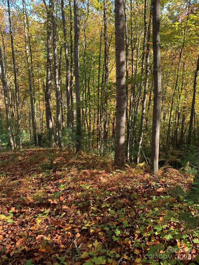 LOT556 Timber Rock Dr Unit 556, Lenoir, NC 28645 - photo 3