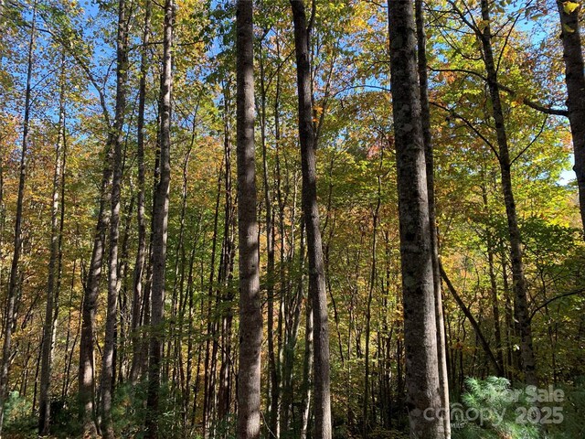 LOT556 Timber Rock Dr Unit 556, Lenoir, NC 28645 - photo 5