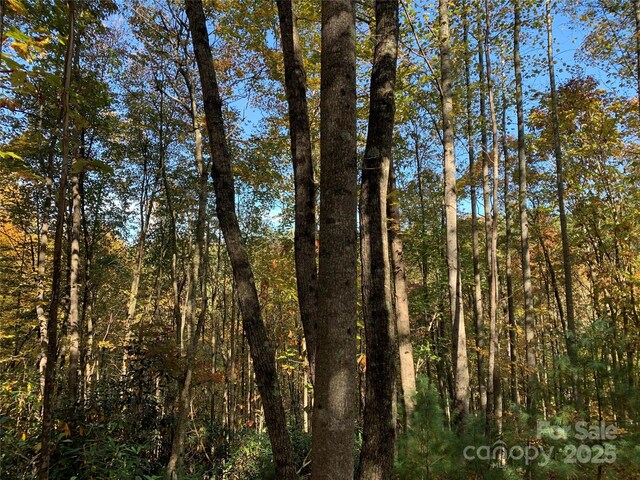 LOT556 Timber Rock Dr Unit 556, Lenoir, NC 28645 - photo 6