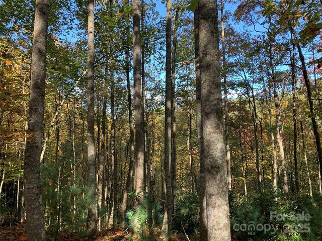 LOT556 Timber Rock Dr Unit 556, Lenoir, NC 28645 - photo 7