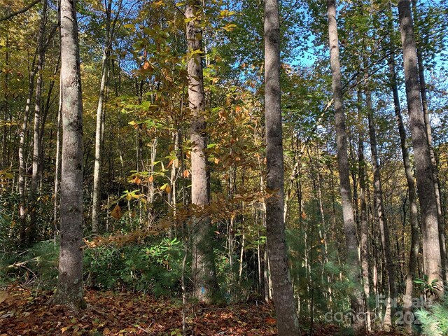 LOT556 Timber Rock Dr Unit 556, Lenoir, NC 28645 - photo 8