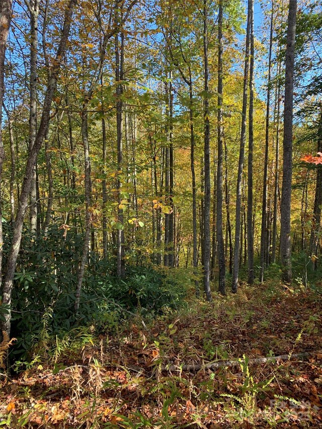 LOT556 Timber Rock Dr Unit 556, Lenoir, NC 28645 - photo 9