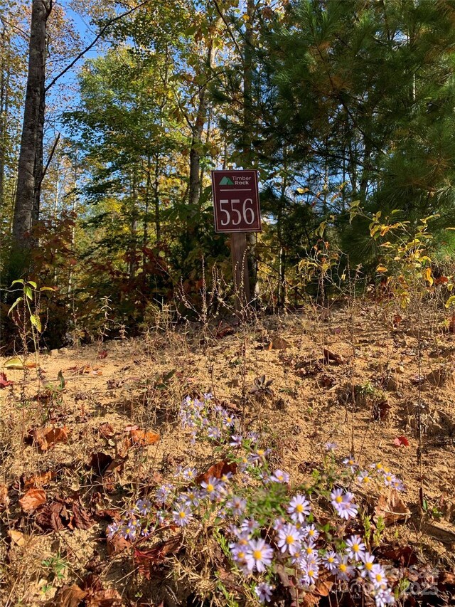 LOT556 Timber Rock Dr Unit 556, Lenoir, NC 28645 - photo 10