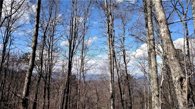 0000 Raven Crest Ln Lot 6Sec 2, Whittier NC, 28789 land for sale