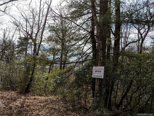 000 Dogwood Dr Unit E6, Penrose, NC 28766