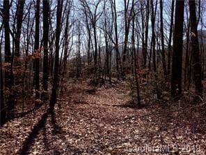 Listing photo 3 for LOT78PHASE3 Hemlock Falls Rd Unit 78, Sylva NC 28779