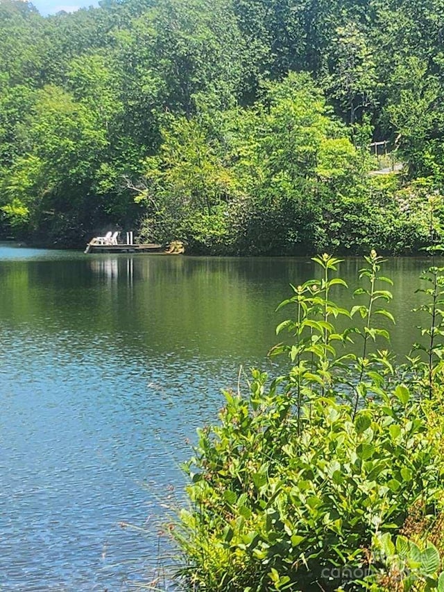 - Melrose Mountain Road Unit 630, Tryon, NC 28782 - photo 3