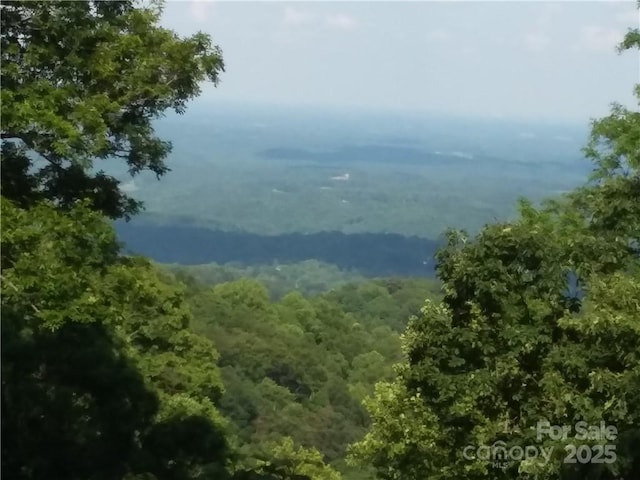 - Melrose Mountain Road Unit 630, Tryon, NC 28782 - photo 4
