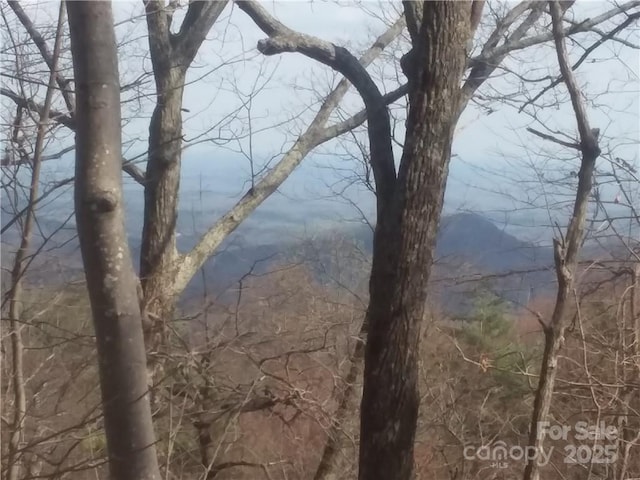 - Melrose Mountain Road Unit 630, Tryon, NC 28782 - photo 6