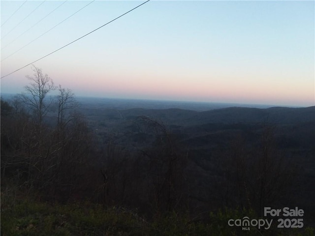 - Melrose Mountain Road Unit 630, Tryon, NC 28782 - photo 8