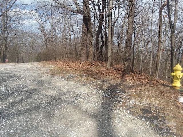- Melrose Mountain Road Unit 630, Tryon, NC 28782 - photo 12