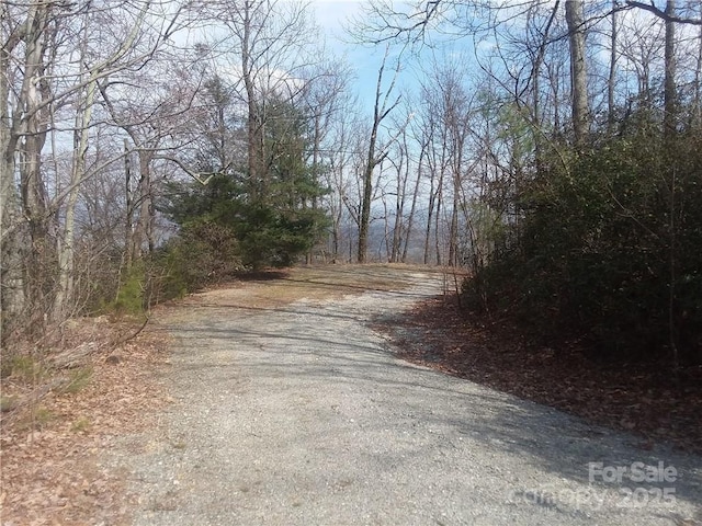 - Melrose Mountain Road Unit 630, Tryon, NC 28782 - photo 14