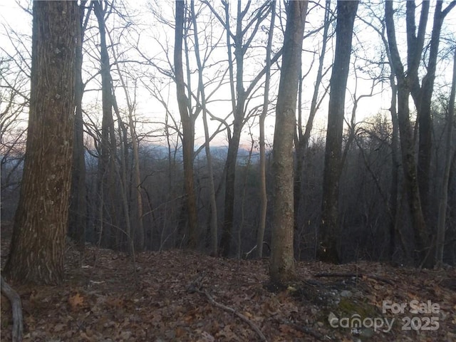 - Melrose Mountain Road Unit 630, Tryon, NC 28782 - photo 16