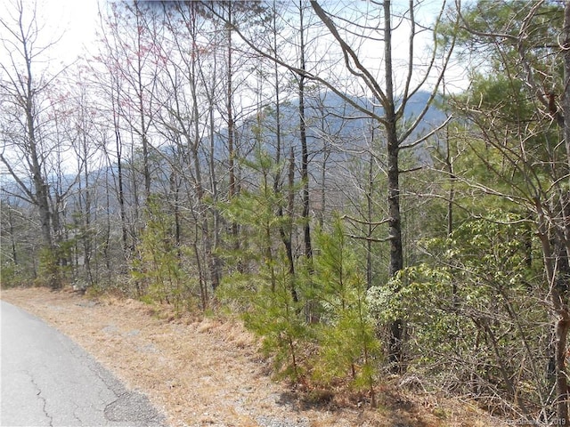 Listing photo 2 for LOT27 Linville Dr, Marion NC 28752