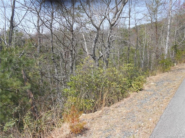 Listing photo 3 for LOT27 Linville Dr, Marion NC 28752