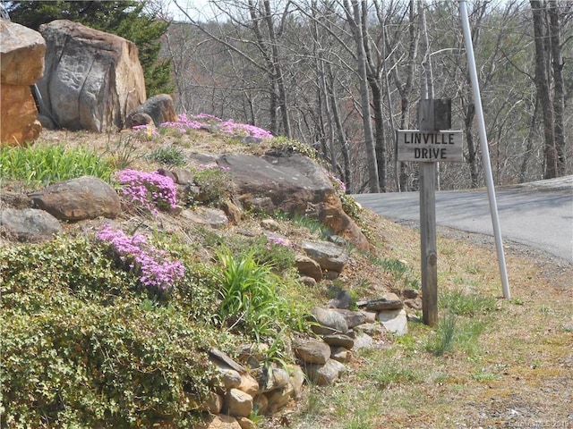 LOT27 Linville Dr, Marion, NC 28752 - photo 7
