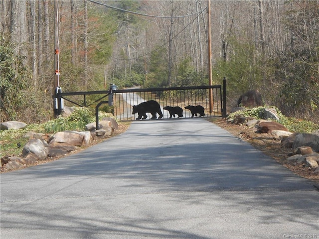 LOT27 Linville Dr, Marion, NC 28752 - photo 8