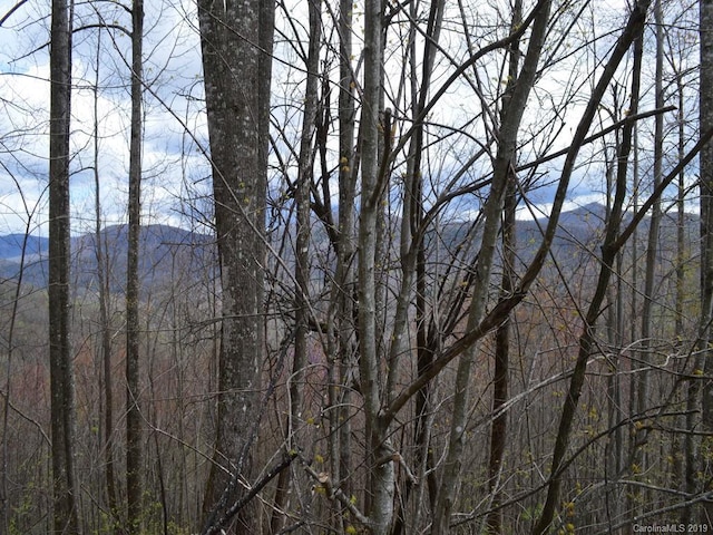 LOT28 Tumblestone Dr, Hendersonville NC, 28792 land for sale