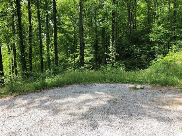 LOT35 Laurel Creek Dr, Hendersonville NC, 28792 land for sale